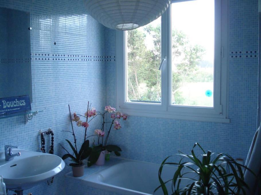 Logement Avec Jardin De Bord Mer Port Navalo Arzon Dış mekan fotoğraf